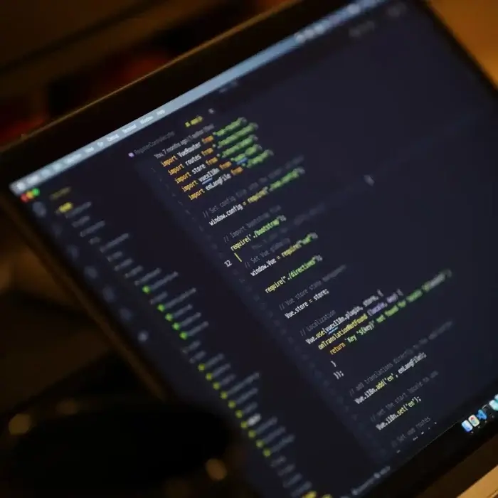 custom-development